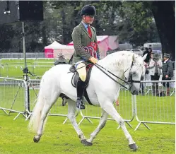  ?? Pictures: Jim Crichton. ?? James Whiteford astride Fuinseoig Boy and Ashley Anderson with her two-year-old, Ashlea’s Little Prince.