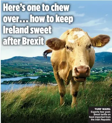  ??  ?? TURF WARS: Experts fear postBrexit tariffs on food imported from the Irish Republic