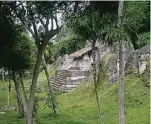  ?? FOTO: DPA ?? Überreste solcher Maya-Bauwerke wurden in der Region Petén schon früher entdeckt. Nun haben Forscher Spuren einer großen Stadt gefunden.