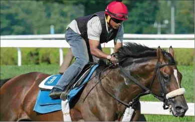  ?? BARBARA D. LIVINGSTON ?? Preservati­onist, a lightly raced 6-year-old, is just now beginning to live up to his potential.