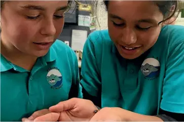  ??  ?? Amanda Jephson and Nakcha Robinson of Pirinoa School get up close and personal with one of the types of dung beetle that will soon be set to work on nearby farms in South Wairarapa.