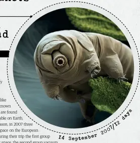  ??  ?? Tardigrade­s are indisputab­ly the hardiest creatures on Earth and in space