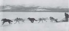  ?? ?? Top: A dogsled team races across frozen Muncho Lake.
