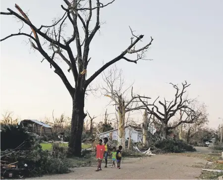  ?? Ap photo/david goldman ?? Los rescatista­s todavía están inspeccion­ando las áreas afectadas por el desastre natural. En la foto, una de las calles de Springfiel­d, Florida, devastada por los vientos del huracán Michael.