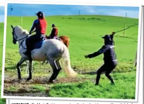  ?? ?? VICIOUS: Sir Mark Todd approaches the hesitant horse with a stick before striking it in the video shared online. He is seen below at an event in 2019