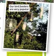  ??  ?? Our bird feeders are very popular