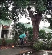  ??  ?? CLEAN-UP: There have been power outages in Oudtshoorn following a thundersto­rm at the weekend.