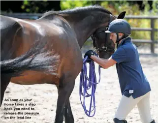  ??  ?? As soon as your horse takes a step back you need to release the pressure on the lead line