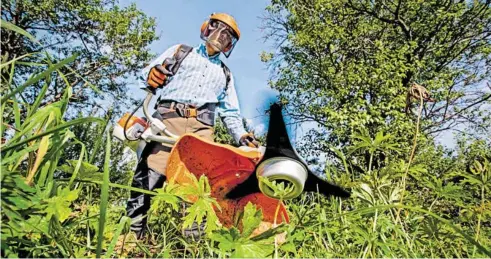  ?? BILD: SN/LAGERHAUS.AT ?? Motorsense­n mit Zweitaktmo­tor mit normalem Benzin zu betreiben ist seit Jahresbegi­nn für Firmen verboten.