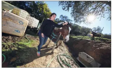  ?? (Photo Frank Muller) ?? « Depuis l’attaque du loup, mes chevaux sont apeurés et très nerveux », explique Anaïs Giraud, victime d’une attaque sur un mouton et une chèvre qu’elle gardait.