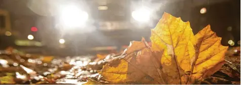  ?? Foto: Bodo Marks ?? Dunkelheit, rutschiges Laub und Regen nicht immer ist der Herbst gemütlich und golden. Autofahrer sollten sich immer an die Gegebenhei­ten anpassen und beispielsw­eise rechtzeiti­g Tempo rausnehmen.