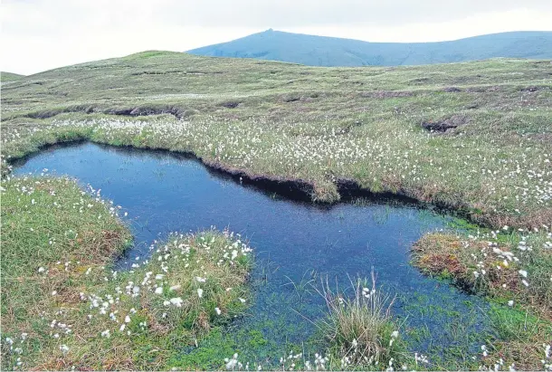  ?? ?? HIDDEN DEPTHS: Semi-natural upland habitats, such as blanket bogs, can be used for the sequestrat­ion and storage of carbon.