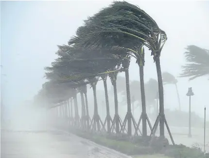  ?? Picture: Getty. ?? Trees bend in the wind along North Fort Lauderdale Beach Boulevard.