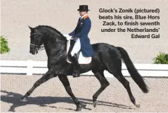  ??  ?? Glock’s Zonik (pictured) beats his sire, Blue Hors Zack, to finish seventh under the Netherland­s’Edward Gal