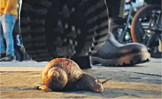  ?? ?? Trail of destructio­n: the RSPCA’s ad shows humans brutalisin­g animals