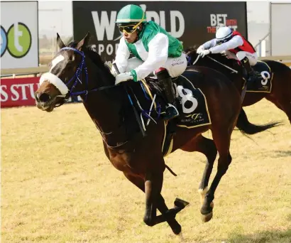  ?? Picture: JC Photograph­ics ?? CLASSIC HOPE. There is a lot to like about Mike de Kock-trained Mambo Model who runs in Race 5 over 2000m at the Vaal Classic track tomorrow.