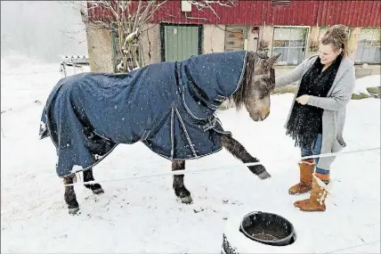  ?? Foto: KristoFFer Åberg ?? GER TASS. Deili blev pensionär vid 25, och väljer numera själv hur mycket den rör på sig. Men än minns den de konster Anu Rautio lärt den, som att de ”tass”.