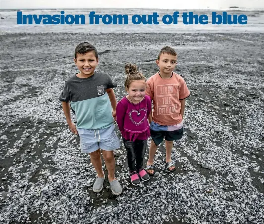  ?? PHOTOS: ANDY JACKSON/STUFF. ?? Joshua, Karlee and Shylow Richardson, from New Plymouth, went down to Back Beach with mum and dad to have a look at the invaders.