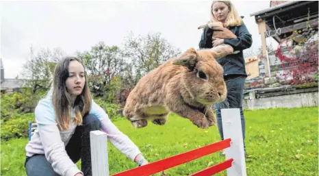  ?? FOTO: THOMAS SIEDLER ?? Die 14-jährige Megan Lange (links) liebt Kaninhop ebenso wie Sunflower. Der Deutschen Meisterin ist keine Hürde zu hoch. Noch besessener aufs Springen ist Sunflowers Tochter Palatinas Air, die die 14-jährige Anna-Maria Müller auf dem Arm hält.