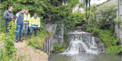  ?? FOTO: KATJA MIELCAREK ?? Ein Wasserfall, wie hier, ist grundsätzl­ich nicht gewünscht. In diesem konkreten Fall schützt er Lebewesen im Oberlauf vor Keimen, die im Unterlauf zu finden sind. Waren bei der Gewässersc­hau dabei, von links: Martin Kohler, Karl-Josef Ettwein, Rainer...