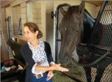  ?? PAUL POST — PPOST@DIGITALFIR­STMEDIA.COM ?? Skidmore College Saratoga Classic Horse Show Executive Director Adele Einhorn gives her horse, Sochi, a treat. Einhorn also competes in the show.