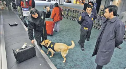  ??  ?? ► Funcionari­o de Aduanas fiscaliza equipaje en aeropuerto de Santiago.