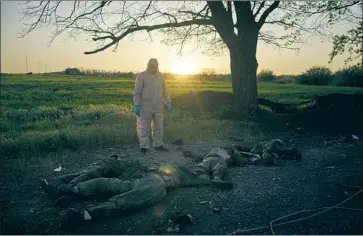  ?? Felipe Dana Associated Press ?? A UKRAINIAN emergency worker stands near the bodies of Russian soldiers in Vilkhivka, recently retaken by Ukrainian forces near Kharkiv. The counteroff­ensive has forced Russia to divert troops from elsewhere.