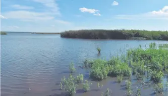  ??  ?? Este es el sector donde serán colocadas las geobolsas para frenar el escurrimie­nto del agua.