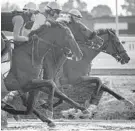  ?? JERRY JACKSON/BALTIMORE SUN ?? A trio of horses work out at Pimlico Race Track on Friday morning in preparatio­ns for Saturday’s races.