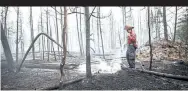  ?? STAR METRO FILE PHOTO ?? Top: Forest fires ravaged British Columbia and northeaste­rn Ontario this summer.