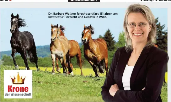  ??  ?? Dr. BArbArA WAllner forscht seit fAst 15 JAhren Am Institut für Tierzucht und Genetik in Wien.