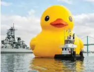  ??  ?? A 13,600-kilogram rubber duck will grace the Midland waterfront from July 21-23, thanks in part to a provincial grant.