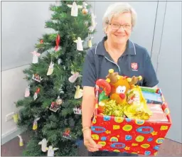  ?? Photo / Rachel Canning ?? Adopt a Family this Christmas. Salvation Army Major Denise Crump with a Christmas package for a Taupo¯ family who would otherwise go without.