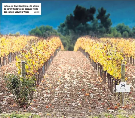  ??  ?? La finca de Raventós i Blanc está integrada por 90 hectáreas de bosques y viñedos en Sant Sadurní d’Anoia