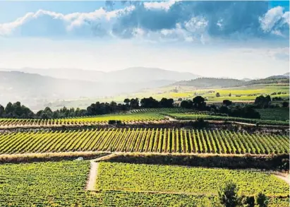  ?? LV ?? El paisaje suave de las viñas es uno de los reclamos de la actividad enoturísti­ca en el Penedès