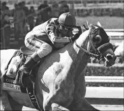  ?? SHIGEKI KIKKAWA ?? Cupid, a three-time Grade 2 stakes winner, got his first Grade 1 victory in the Gold Cup at Santa Anita.