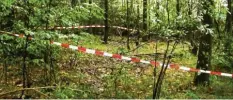  ?? Foto: Alexander Auer, dpa ?? Im September 2013 fanden Pilzsammle­r in diesem Waldstück bei Regensburg das Skelett Maria Baumers.