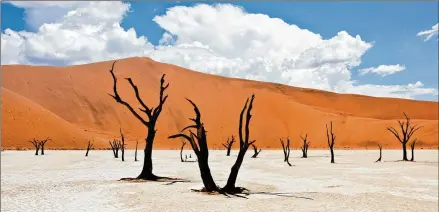  ?? PHOTOS COURTESY OF BLACK TOMATO ?? The Deadvlei in Namibia is one place where travelers might “get lost,” an experience that’s gaining in popularity.