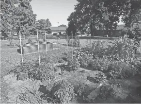  ?? ?? A variety of stuff is growing in this community garden at Shawnee on Amy Avenue, seen July 14.