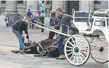  ?? SIMON MARCEAU-PELLETIER/THE CANADIAN PRESS ?? In the spring of 2016, Denis Coderre’s administra­tion proposed a one-year moratorium on using horses to pull calèches, but it was dropped following a court injunction.
