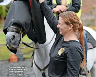  ??  ?? Teaching your horse to be spook-proof can be practised anytime, anywhere
MARCH 2020