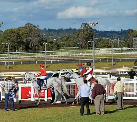  ?? Photo: Kevin Farmer ?? RACING AHEAD: Five new Toowoomba Turf Club board members have been elected to help steer the future direction of Clifford Park racing.