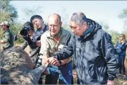  ?? PHOTOS PROVIDED BY INVESTEC RHINO LIFELINE ?? Top: Above: