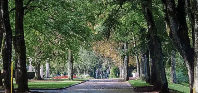  ?? Fotos: Guy Jallay ?? Spaziereng­ehen im Parc municipal auf dem Escher Galgenberg.