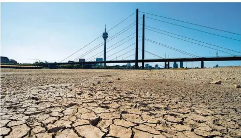  ?? FOTO: GATEAU/DPA ?? Ein Bild dieses Sommers – und der Zukunft? Das Flussbett des Rheins ist bei Düsseldorf aufgrund der Dürre ausgetrock­net und aufgerisse­n.