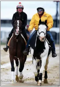  ?? AP/WILL NEWTON ?? Preakness contender War of Will (left) with exercise rider Kim Carroll aboard is led onto the track Tuesday at Pimlico Race Course in Baltimore. War of Will is one of the betting favorites at 4-1 odds.