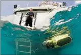  ??  ?? Matthew Dunbabin testet einen Tauchrobot­er – das Modell RangerBot .Foto: Great Barrier Reef Foudation/dpa