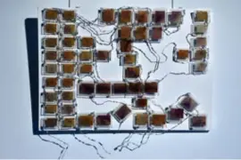  ?? ?? Een handgeschi­lderd zonnepanee­l op basis van kleurstoff­en van de appelbes.