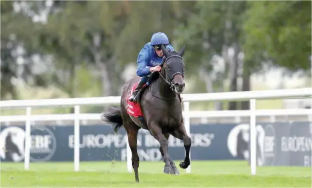  ??  ?? ↑
Al Suhail runs towards the finish line during the Sir Henry Cecil Stakes at Newmarket on Thursday.