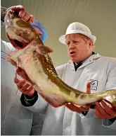  ?? AP ?? British Prime Minister Boris Johnson says months of talks between the UK and the EU are effectivel­y over, after grinding to a halt on issues such as fishing.